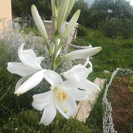 Castello Flower Apartment Kaštela Zewnętrze zdjęcie
