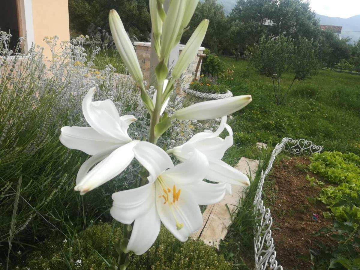 Castello Flower Apartment Kaštela Zewnętrze zdjęcie