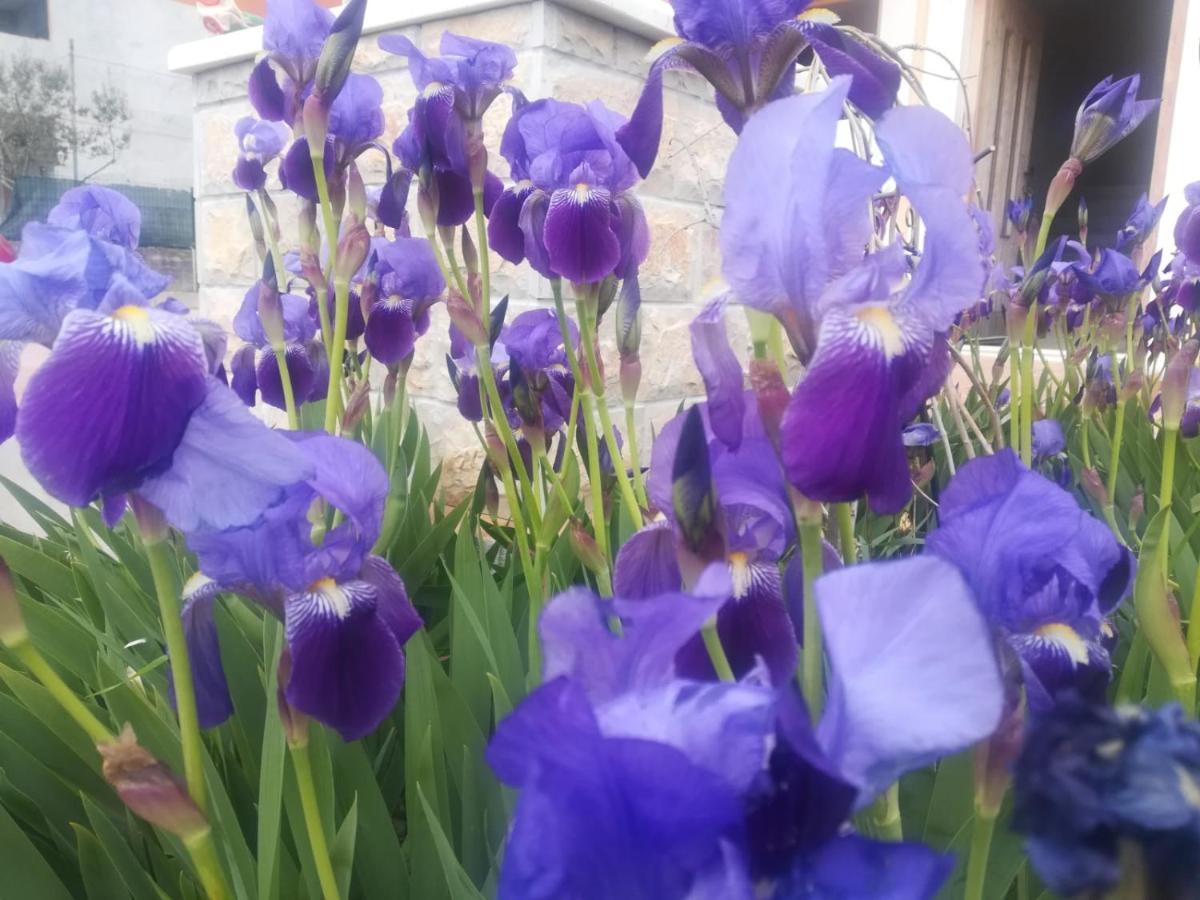 Castello Flower Apartment Kaštela Zewnętrze zdjęcie